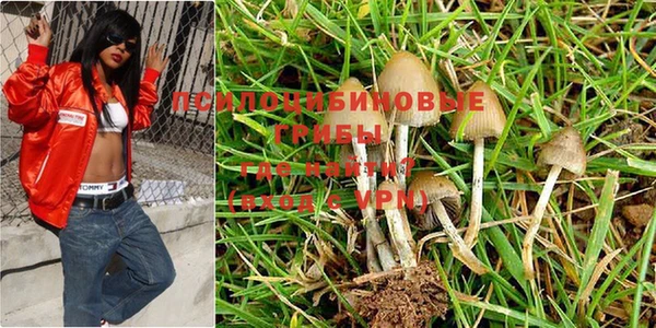apvp Балахна